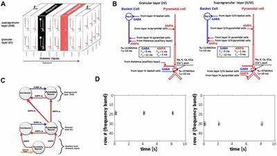 Modeling Neural Adaptation in Auditory Cortex